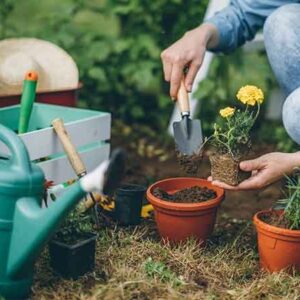 Lawn and Garden